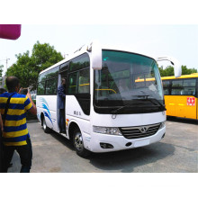 6m 20 Seats Bus for Sale